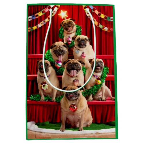 Seven Pugs_a_Posing Medium Gift Bag