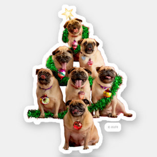 Seven Pugs-a-Posing Sticker