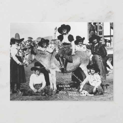 Seven rodeo cowgirls jokingly posing with a donkey postcard