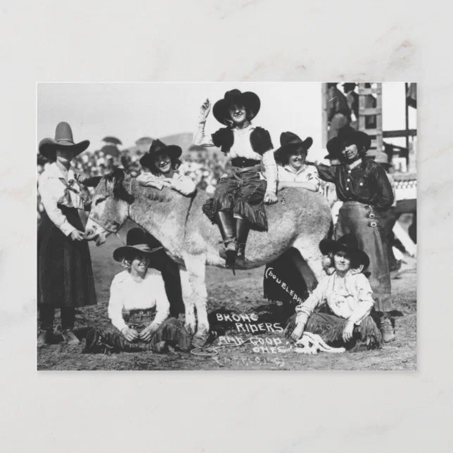 Seven rodeo cowgirls jokingly posing with a donkey postcard Zazzle