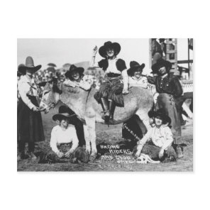Seven rodeo cowgirls jokingly posing with a donkey postcard
