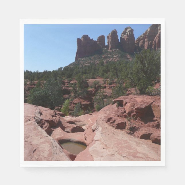 Seven Sacred Pools in Sedona Arizona Napkins (Front)
