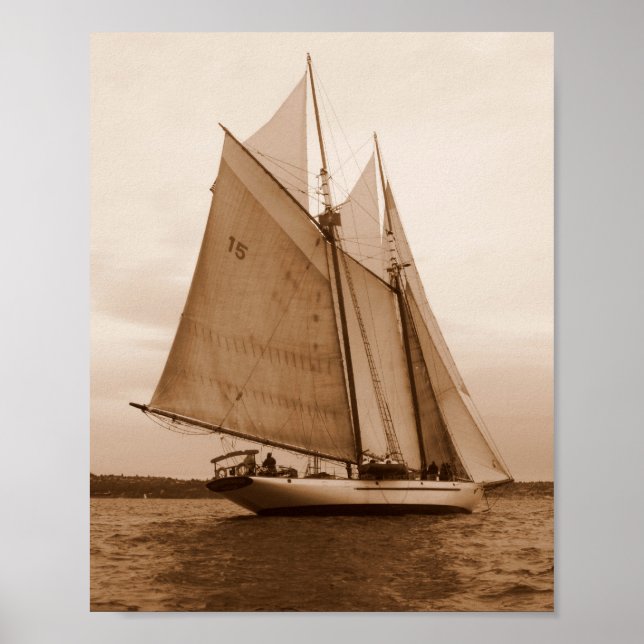 Seven Sails on the Salish Sea Poster (Front)