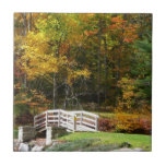 Seven Springs Fall Bridge I Autumn Landscape Tile