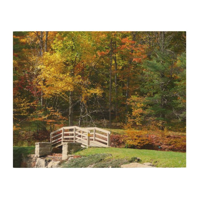 Seven Springs Fall Bridge I Autumn Landscape Wood Wall Art (Front)