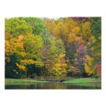 Seven Springs Fall Bridge II Autumn Landscape Photo Print