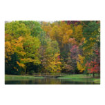 Seven Springs Fall Bridge II Autumn Landscape Poster