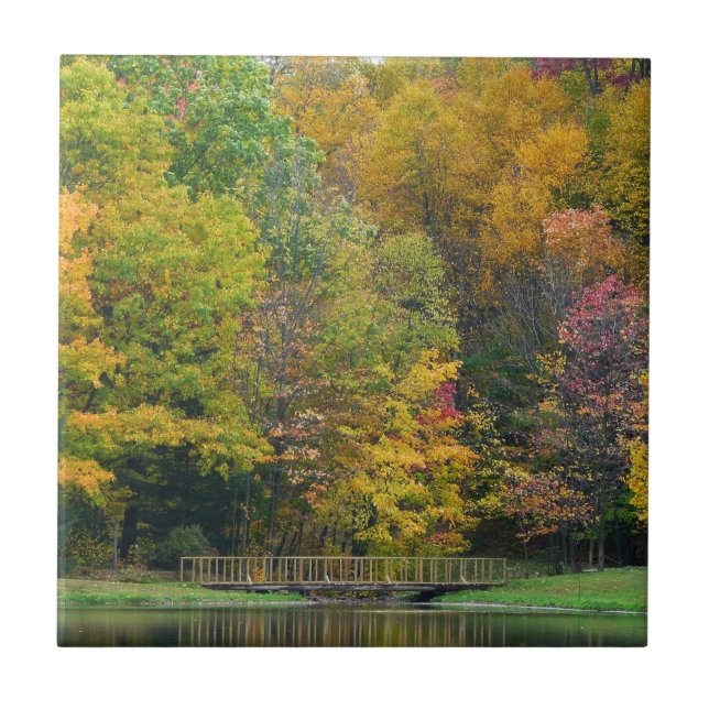 Seven Springs Fall Bridge II Autumn Landscape Tile (Front)