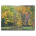 Seven Springs Fall Bridge II Autumn Landscape Tissue Paper