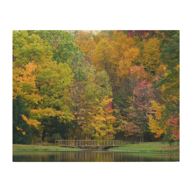 Seven Springs Fall Bridge II Autumn Landscape Wood Wall Art (Front)