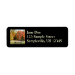 Seven Springs Fall Bridge III Autumn Landscape Label