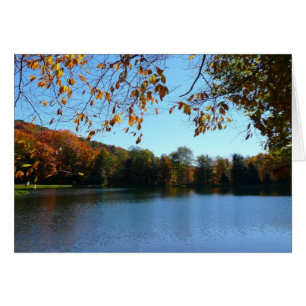 Seven Springs Fall Trees and Pond Cards
