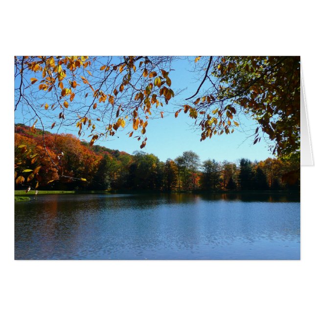 Seven Springs Fall Trees and Pond Cards (Front Horizontal)
