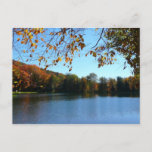 Seven Springs Fall Trees and Pond Postcard