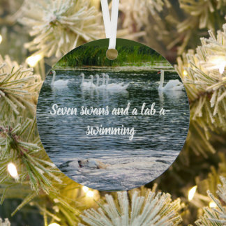 seven swans and a lab a swimming metal ornament