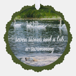 seven swans and a lab a-swimming ornament card