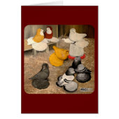 Seven Trumpeter Pigeons (Front)