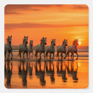 Seven White Horses Wall Art 10.24x10.24 - Sunset  Foam Board