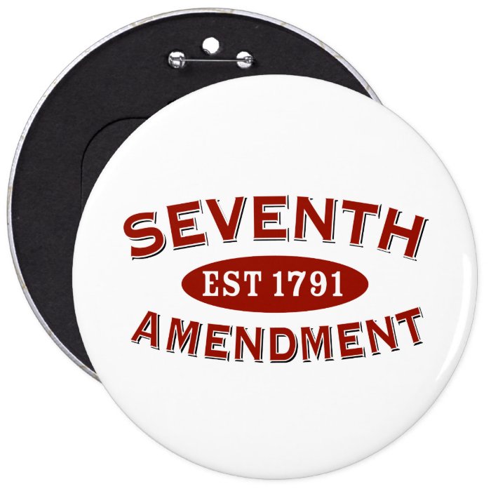 Seventh Amendment Est 1791 Pin