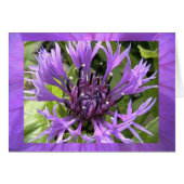 seventh chakra (Front Horizontal)