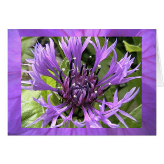 seventh chakra cards