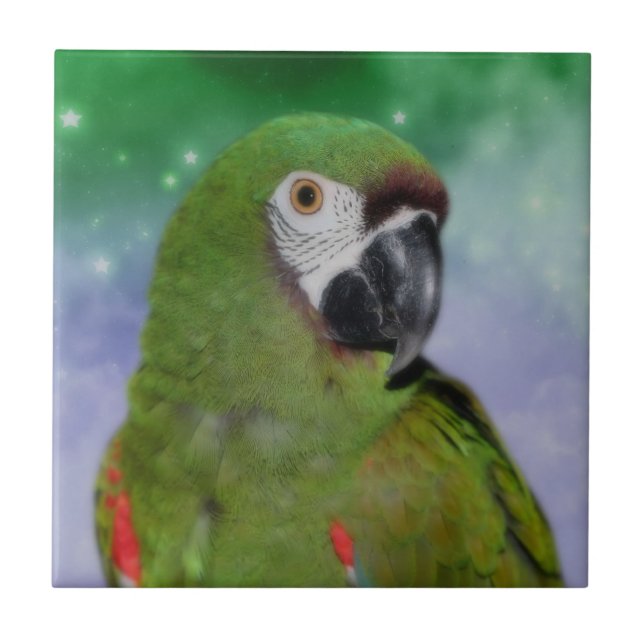 Severe Macaw Parrot Animal Ceramic Tile (Front)