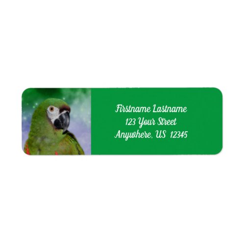 Severe Macaw Parrot Bird Address Label