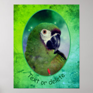 Severe Macaw Parrot Personalized Words Poster