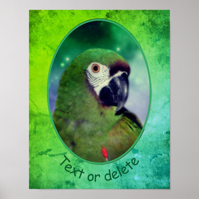 Severe Macaw Parrot Personalized Words Poster (Front)