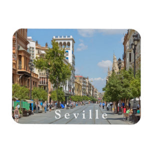 Seville. #36. magnet