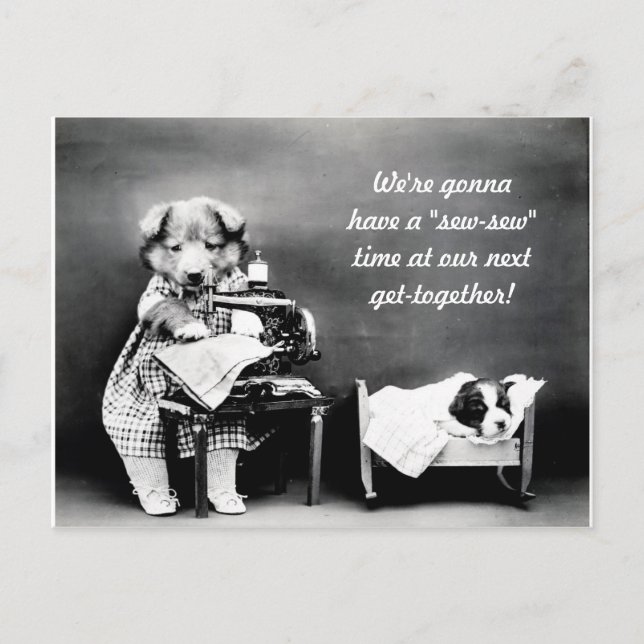 "Sew-Sew" time vintage dog postcard (Front)