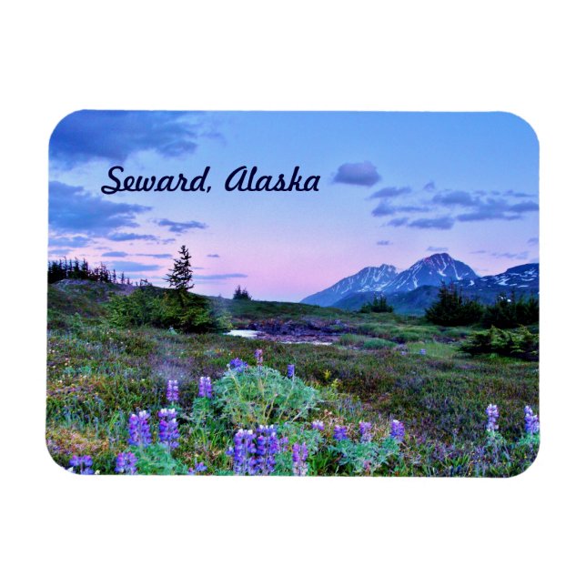 Seward, Alaska Magnet travel (Horizontal)