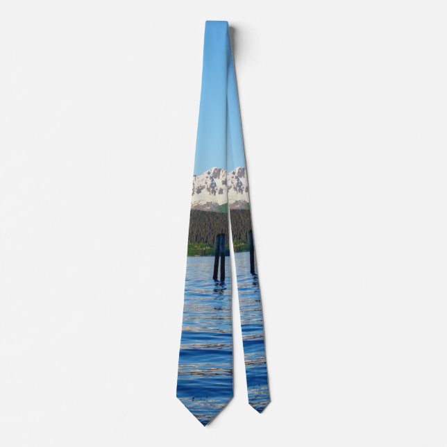 Seward Beauty Neck Tie (Front)