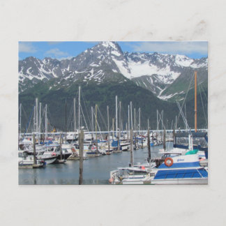 Seward Harbor, Alaska Postcard