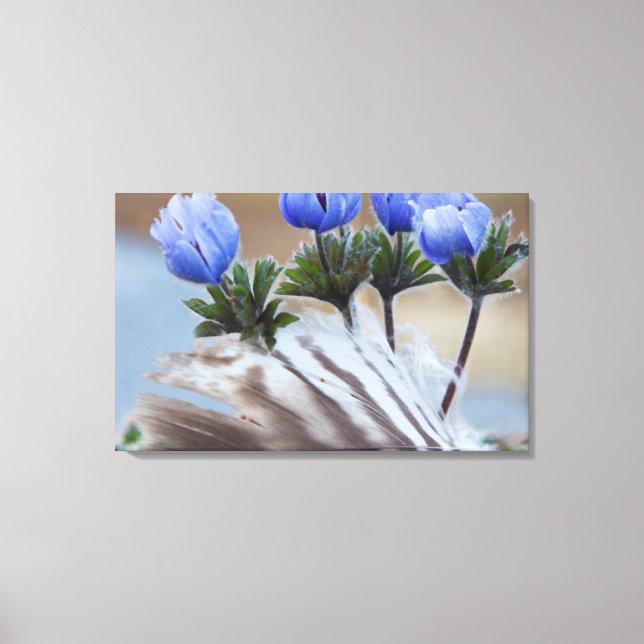 Seward Peninsula, Alaska, Arctic Wildflowers Canvas Print (Front)