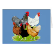 Sex-linked Chickens Quintet (Front Horizontal)