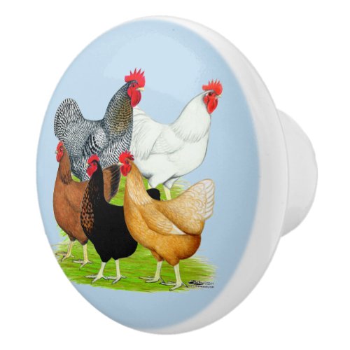 Sex_linked Chickens Quintet Ceramic Knob