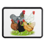 Sex-linked Chickens Quintet Hitch Cover