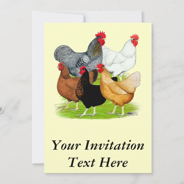 Sex-linked Chickens Quintet Invitation (Front)