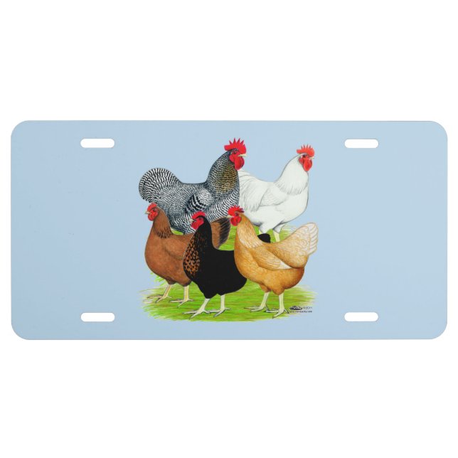 Sex-linked Chickens Quintet License Plate (Front)