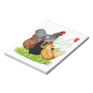 Sex-linked Chickens Quintet Notepad