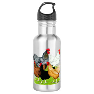 Sex-linked Chickens Quintet Stainless Steel Water Bottle