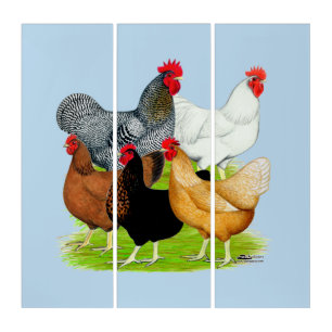 Sex-linked Chickens Quintet Triptych