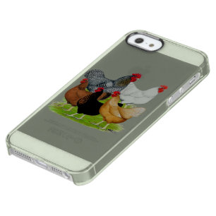 Sex-linked Chickens Quintet Clear iPhone SE/5/5s Case