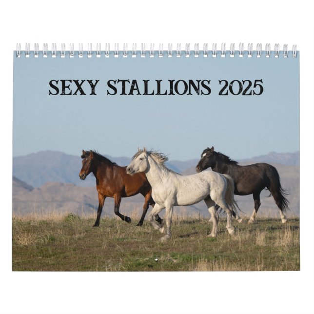 Sexy Stallions 2025 Calendar (Cover)