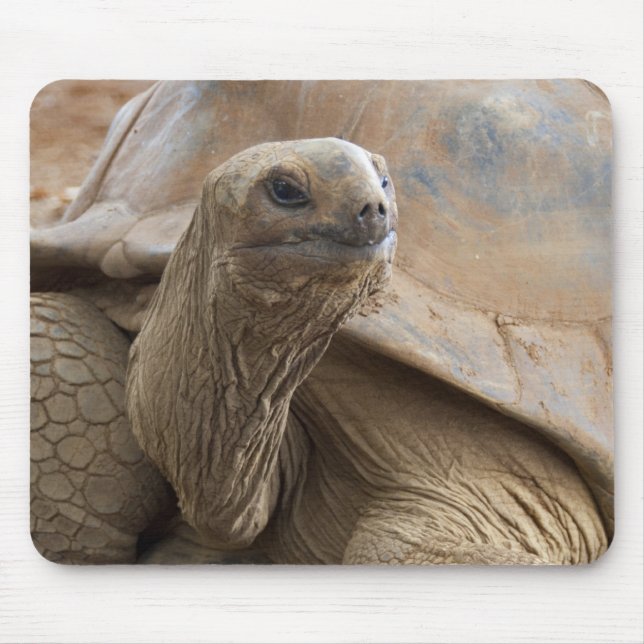 Seychelle Aldabran land tortoise Mouse Pad (Front)