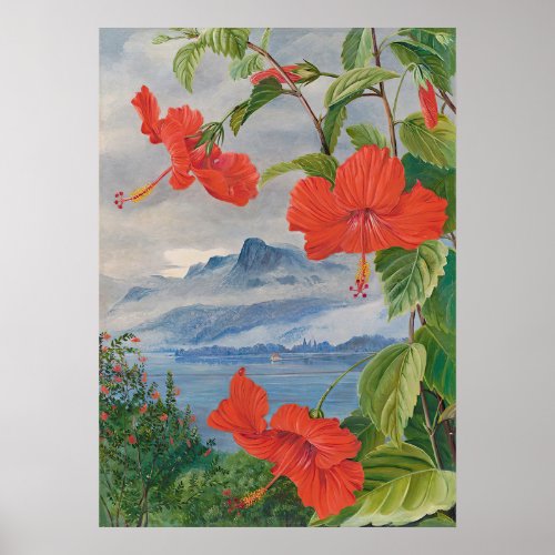 Seychelles by Marianne North _ Exotic Landscape Poster