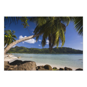 Seychelles, Mahe Island, Anse a la Mouche Photo Print