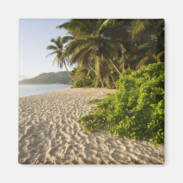 Seychelles, Mahe Island, Anse Marie-Louise Magnet (Front)