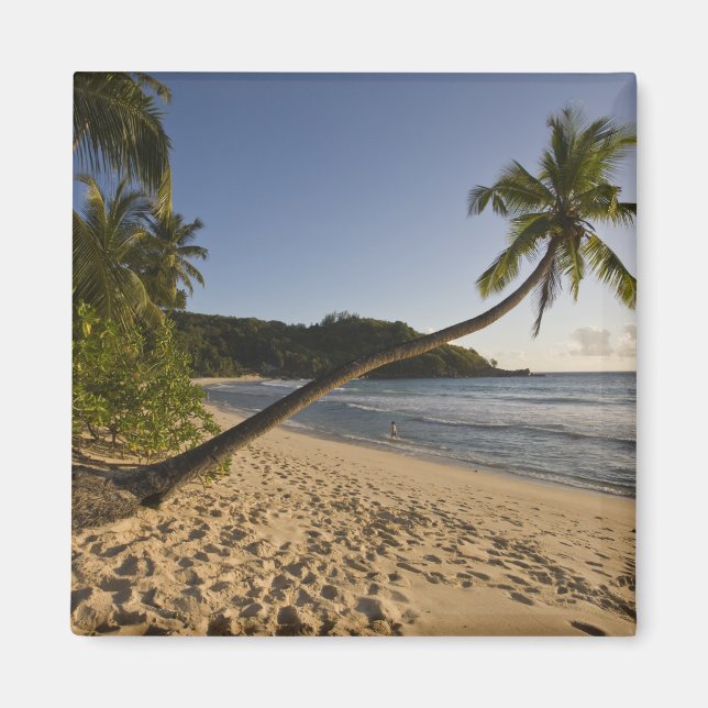Seychelles, Mahe Island, Anse Takamaka beach, Magnet (Front)